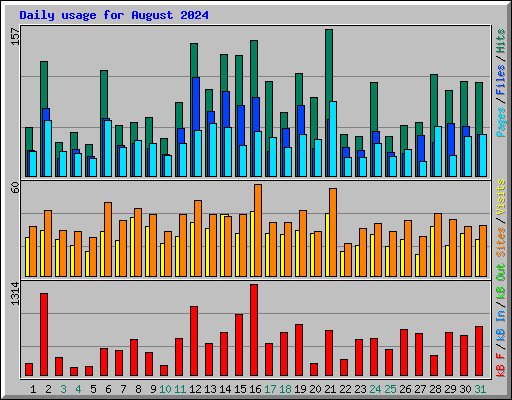 Daily usage for August 2024