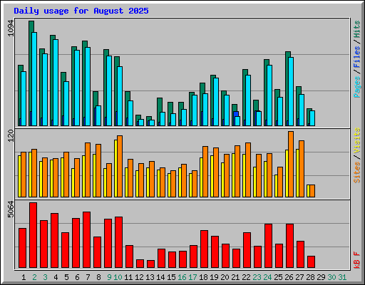 Daily usage for August 2025