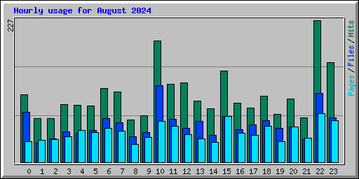 Hourly usage for August 2024