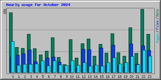 Hourly usage for October 2024