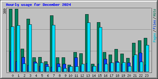 Hourly usage for December 2024