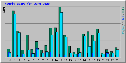 Hourly usage for June 2025
