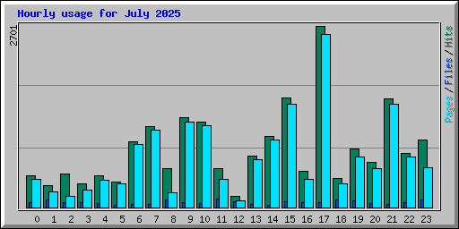 Hourly usage for July 2025