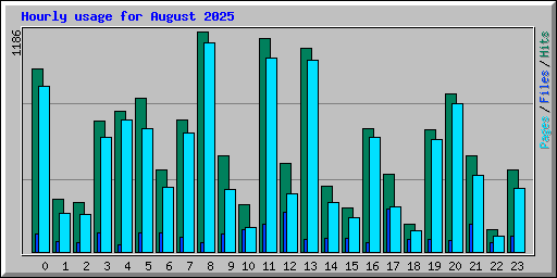 Hourly usage for August 2025