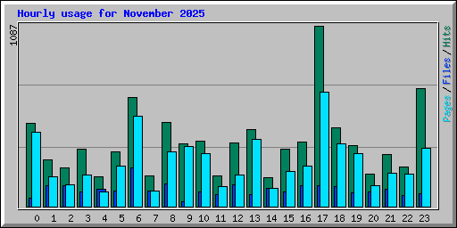Hourly usage for November 2025
