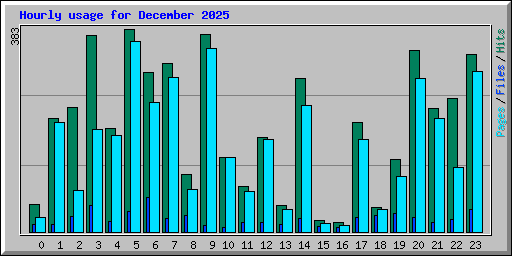 Hourly usage for December 2025