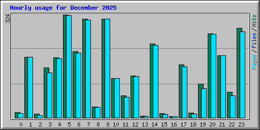 Hourly usage for December 2025