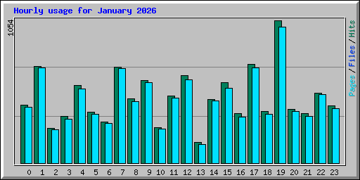 Hourly usage for January 2026
